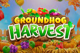 Groundhog Harvest